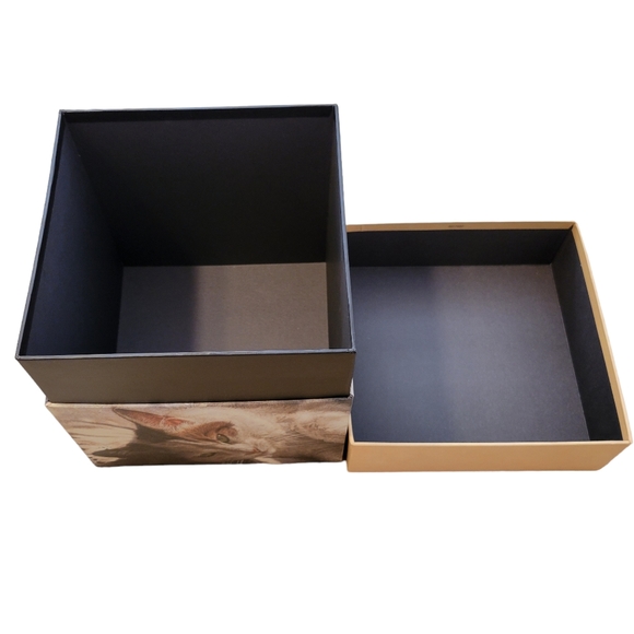 Bob's Boxes - Decorative Storage Box (Sunbathing Cat) - Picture 6 of 7